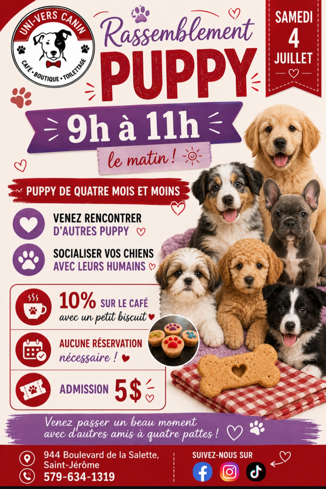 Rassemblement Puppy en bas de 4 mois